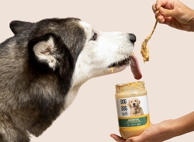 Dog eating Peanut butter