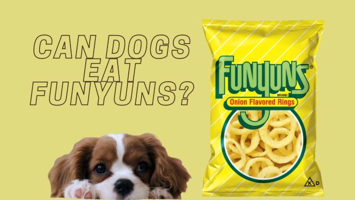Can Dog Eat Funyuns