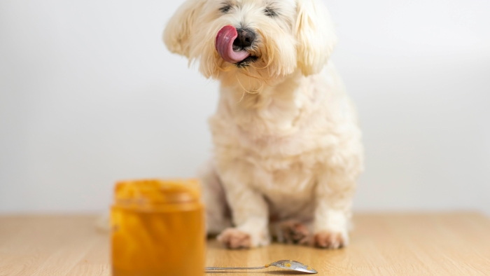 Dogs Eat Crunchy Peanut Butter