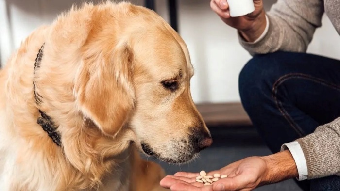 Carprofen for Dog