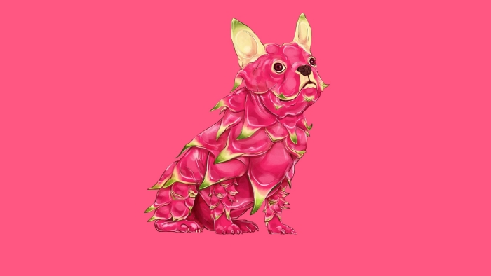 Dog Dragon Fruit