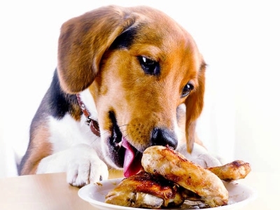 Dog Eat Meat