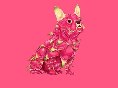 Dragon Fruit Dog 