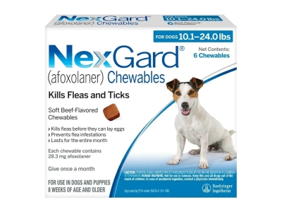 Nexgard for Dogs