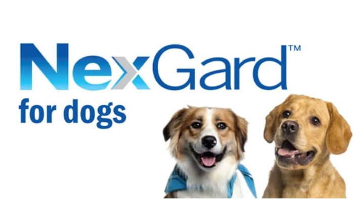 Nexgard for Dogs