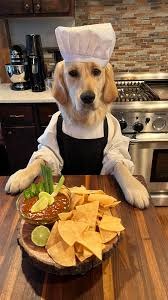 dogs love tortilla chips